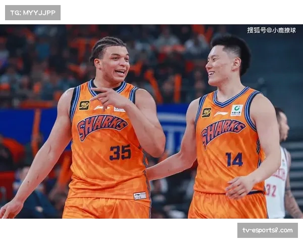 CBA第二阶段即将开打，各队外援调整成效待检验