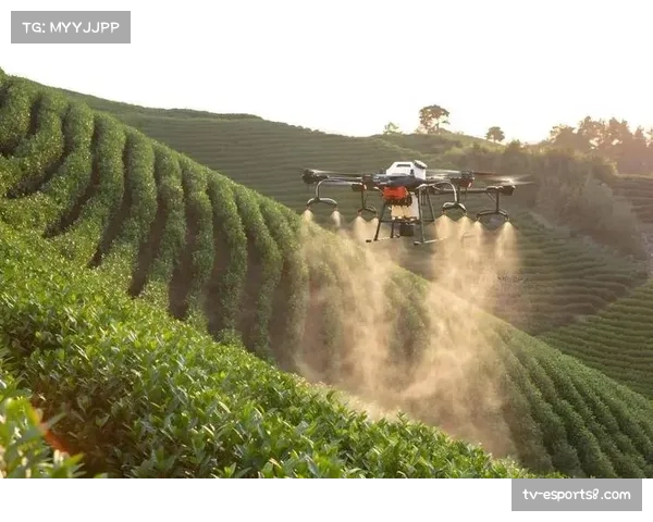 无人机拍摄提供独特视角，增强内容吸引力