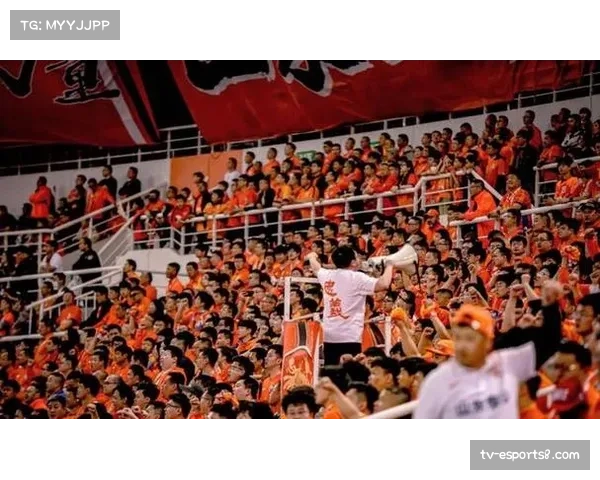 6655外援新政全面落地,中超引援呈现梯度分明特征